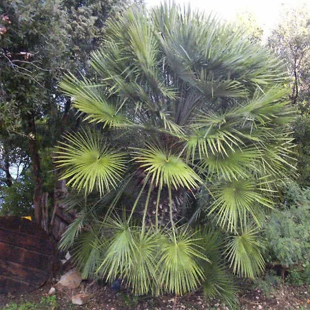 By The Sea Polace, Mljet - 613 *