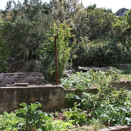 Apartmán By The Sea Polace, Mljet - 613 *