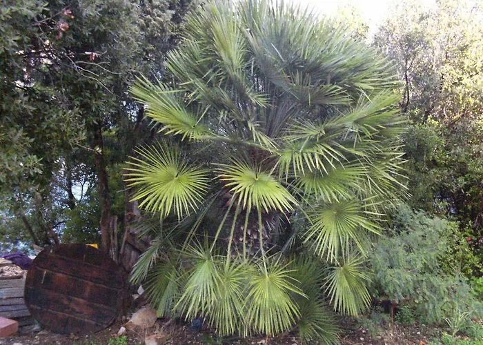 By The Sea Polace, Mljet - 613 *