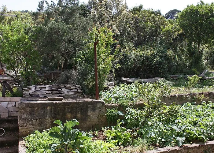 Διαμέρισμα By The Sea Polace, Mljet - 613 *